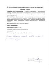 Комментарии жюри Шабанову Ивану