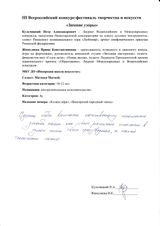 Комментарии жюри Матвееву Матвею